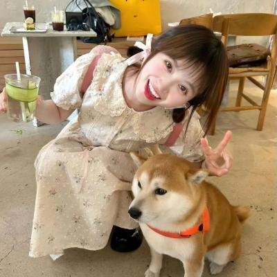 恋恋贝鲁特