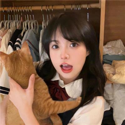 战地黄花分外香